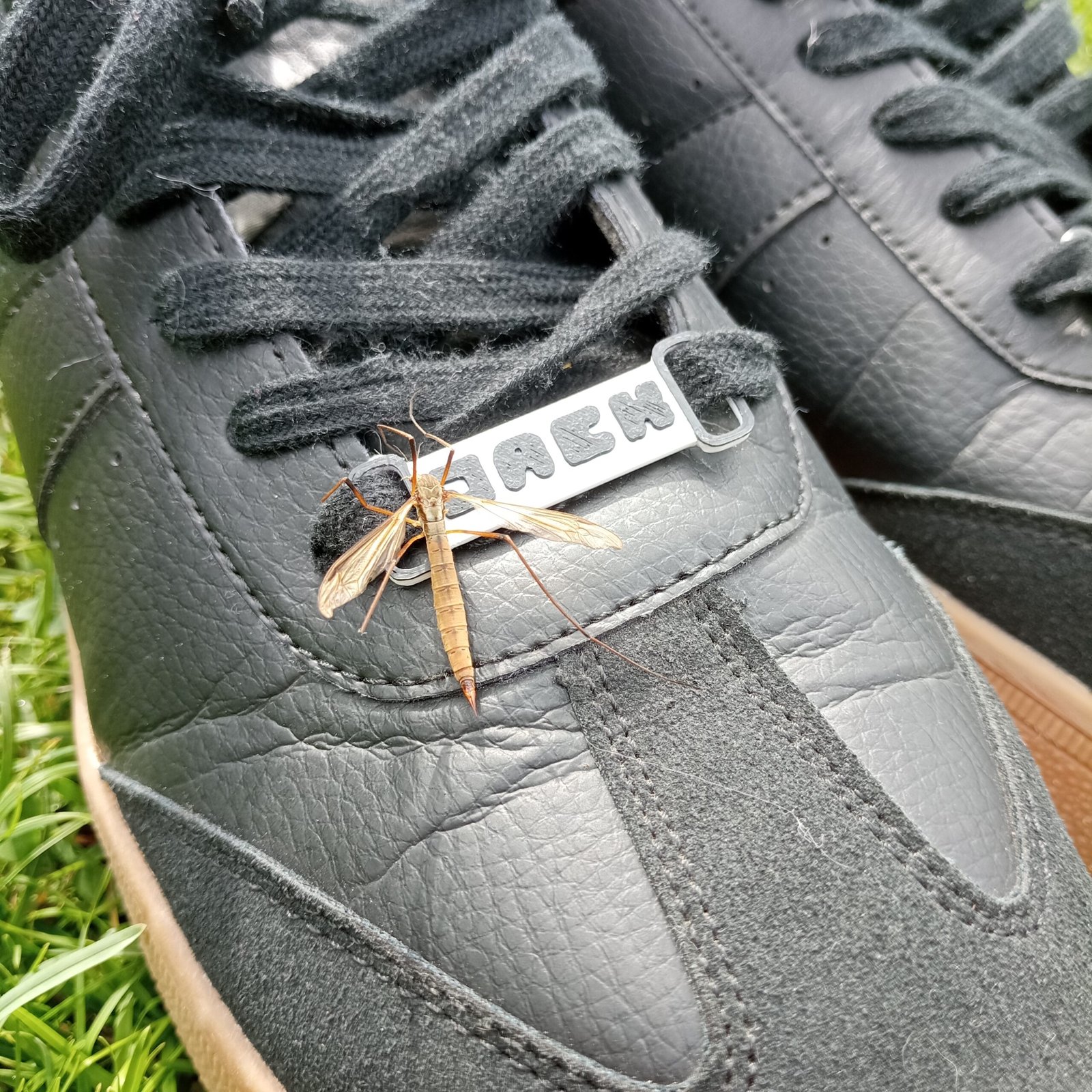 Personalized Shoe Nameplates 1 Pair | Shoelace Charms 2-Color 3D Printed | Custom Running Shoe Tags - Image 4